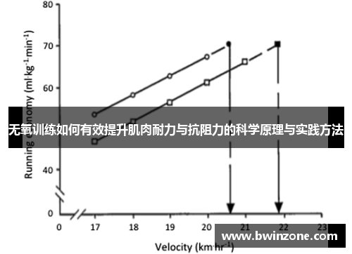 无氧训练如何有效提升肌肉耐力与抗阻力的科学原理与实践方法